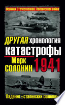 Другая хронология катастрофы 1941. Падение «сталинских соколов»