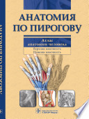 Анатомия по Пирогову. Атлас анатомии человека.