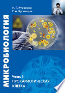 Микробиология. Часть 1. Прокариотическая клетка