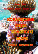 Коралловые сады Красного моря. Атлас кораллов
