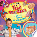 Тело человека