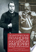 Политическая полиция Российской империи между реформами. От В. К. Плеве до В. Ф. Джунковского