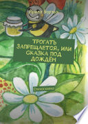 Трогать запрещается, или Сказка под дождём. Стихосказка