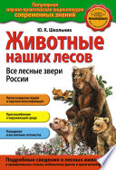 Животные наших лесов. Все лесные звери России