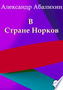 В Стране Норков