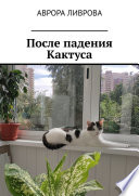 После падения Кактуса