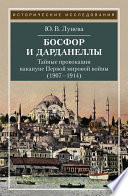 Босфор и Дарданеллы. Тайные провокации накануне Первой мировой войны (1908–1914)