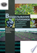 Возделывание голубики на торфяных выработках Припятского Полесья