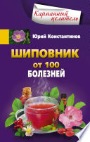 Шиповник. От 100 болезней