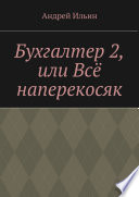 Бухгалтер 2, или Всё наперекосяк