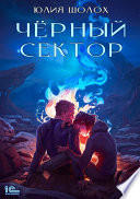 Чёрный сектор. Книга 1