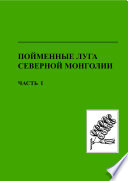 Пойменные луга Северной Монголии. Часть I. Структура, состав, продуктивность и биоразнообразие пойменных экосистем