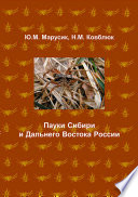 Пауки Сибири и Дальнего Востока России