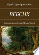 Вебсик. История третья. Башни Меера. Часть 1