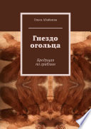 Гнездо огольца. Бредущая по граблям