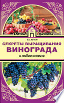 Секреты выращивания винограда в любом климате. Проверенные способы формировки винограда