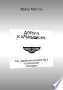 Дорога к крылышкам. Как новый репатриант стал израильским лётчиком