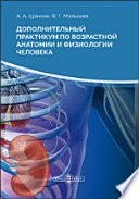 Дополнительный практикум по возрастной анатомии и физиологии человека