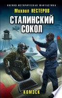 Сталинский сокол. Комэск