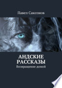 Андские рассказы. Возвращение домой