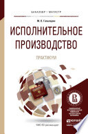 Исполнительное производство. Практикум. Учебное пособие для бакалавриата и магистратуры