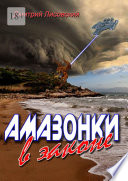 Амазонки в законе. Вторая часть трилогии «Амазонки в Космосе»