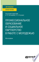 Профессиональное образование и социальное партнерство в работе с молодежью. Монография