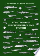 АТЛАС МОЛОДИ ПРЕСНОВОДНЫХ РЫБ РОССИИ