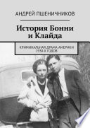 История Бонни и Клайда. Криминальная драма Америки 30-х гг. прошлого века