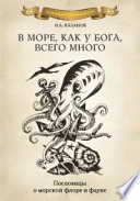 В море как у Бога, всего много. Пословицы о морской флоре и фауне