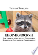 Енот-полоскун. Ваш домашний питомец. Содержание. Кормление. Воспитание. Размножение