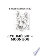 Лунный Бог – moon bog