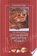 Шотландские вислоухие кошки