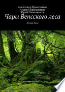 Чары Вепсского леса. Лесные были