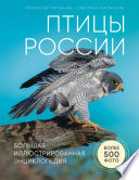 Птицы России. Большая иллюстрированная энциклопедия