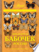 Определитель бабочек России. Дневные бабочки