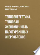 Теплоэнергетика. Тепловая экономичность паротурбинных энергоблоков