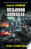 Позывной «Волкодав». Огонь Сталинграда