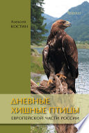 Дневные хищные птицы европейской части России