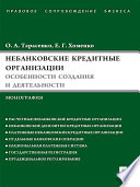 Небанковские кредитные организации: особенности создания и деятельности