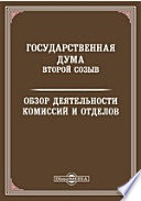 Государственная Дума. Второй созыв. Обзор деятельности комиссий и отделов