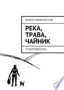 Река, трава, чайник и некоторые коты