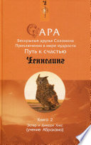 Сара. Книга 2. Бескрылые друзья Соломона. Приключения в мире мудрости. Путь к счастью