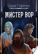 Мистер вор