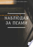 Наблюдая за псами