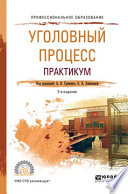 Уголовный процесс. Практикум 2-е изд., испр. и доп. Учебное пособие для СПО