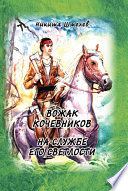 Вожак кочевников. На службе его светлости (сборник)