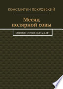 Месяц полярной совы. Сборник стихов разных лет