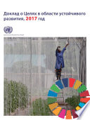 The Sustainable Development Goals Report 2017 (Russian language)