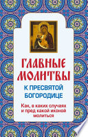 Главные молитвы к Пресвятой Богородице. Как, в каких случаях и пред какой иконой молиться